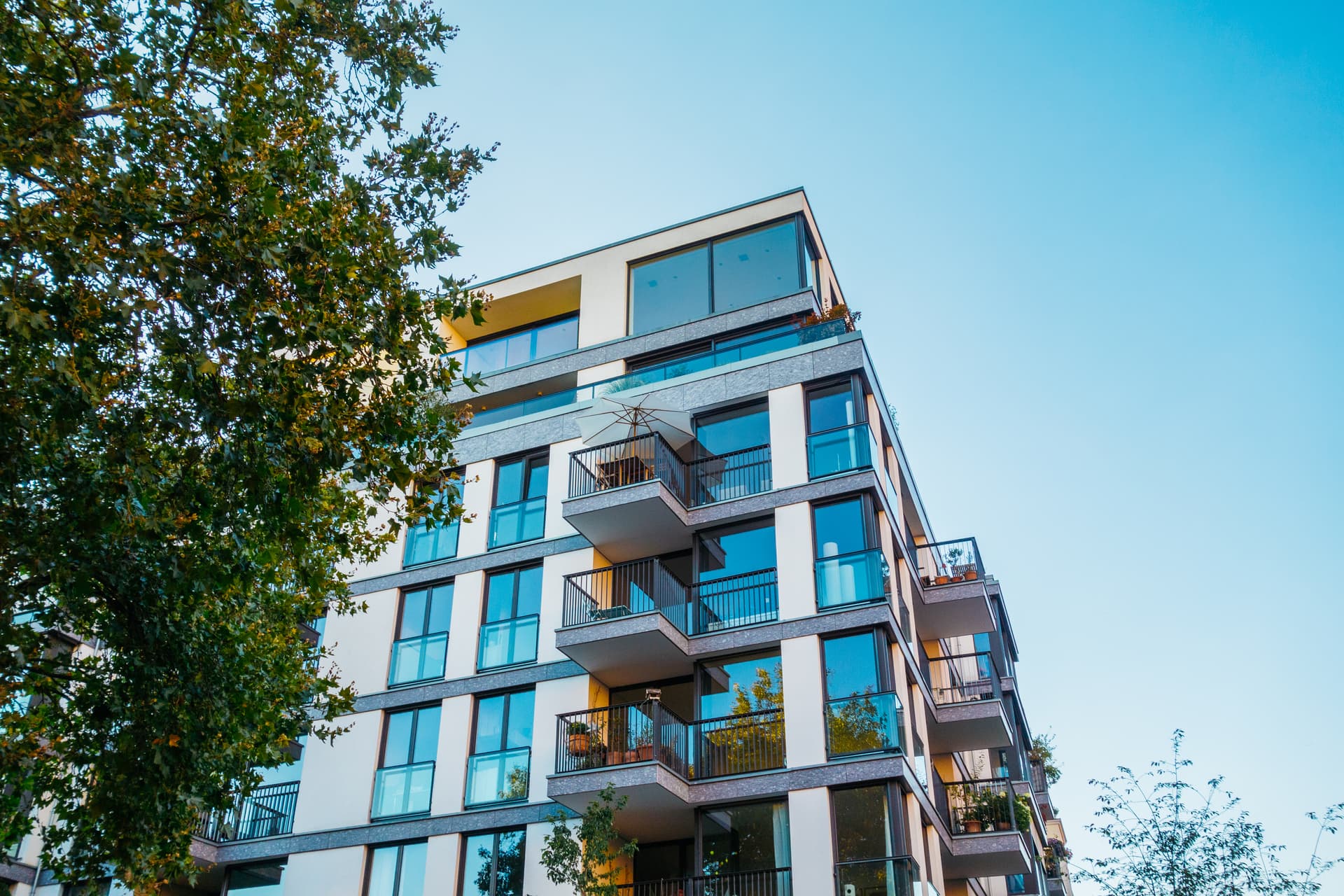 Modern apartment building with balconies beside a tree